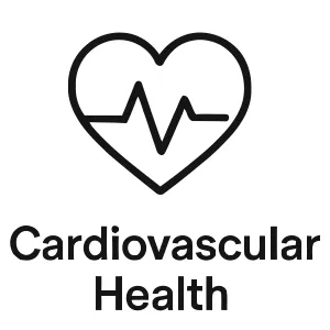 Cardiovascular Health