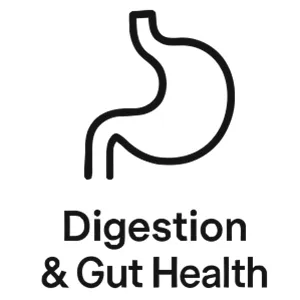 Digestion & Gut Health