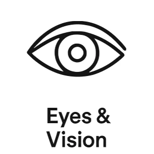 Eyes & Vision